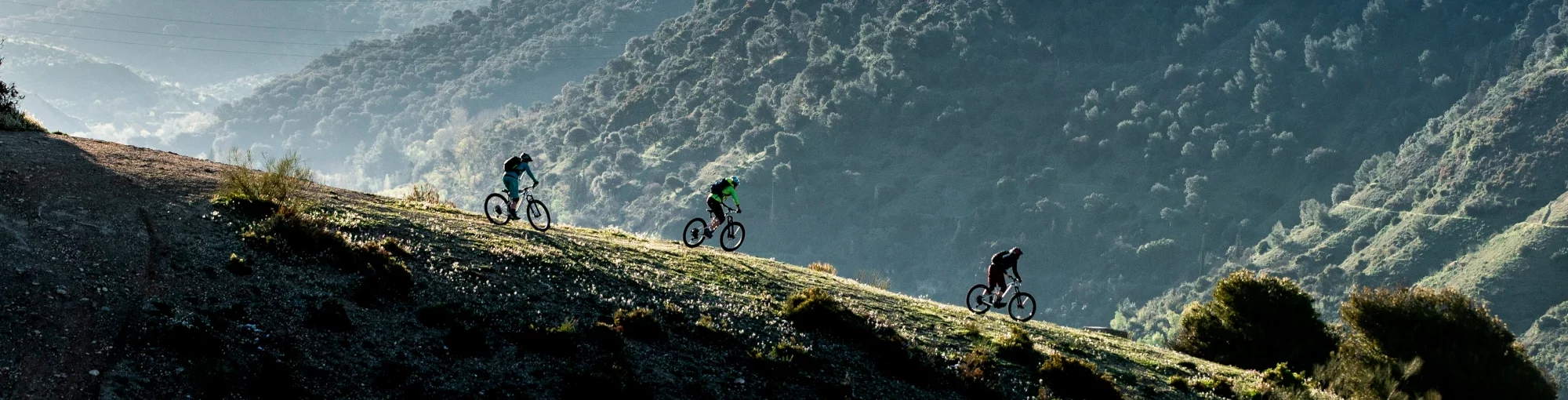 Bremsen Elegant store -Bremsen Elegant store Scott MTB Banner 2 2000x510 1