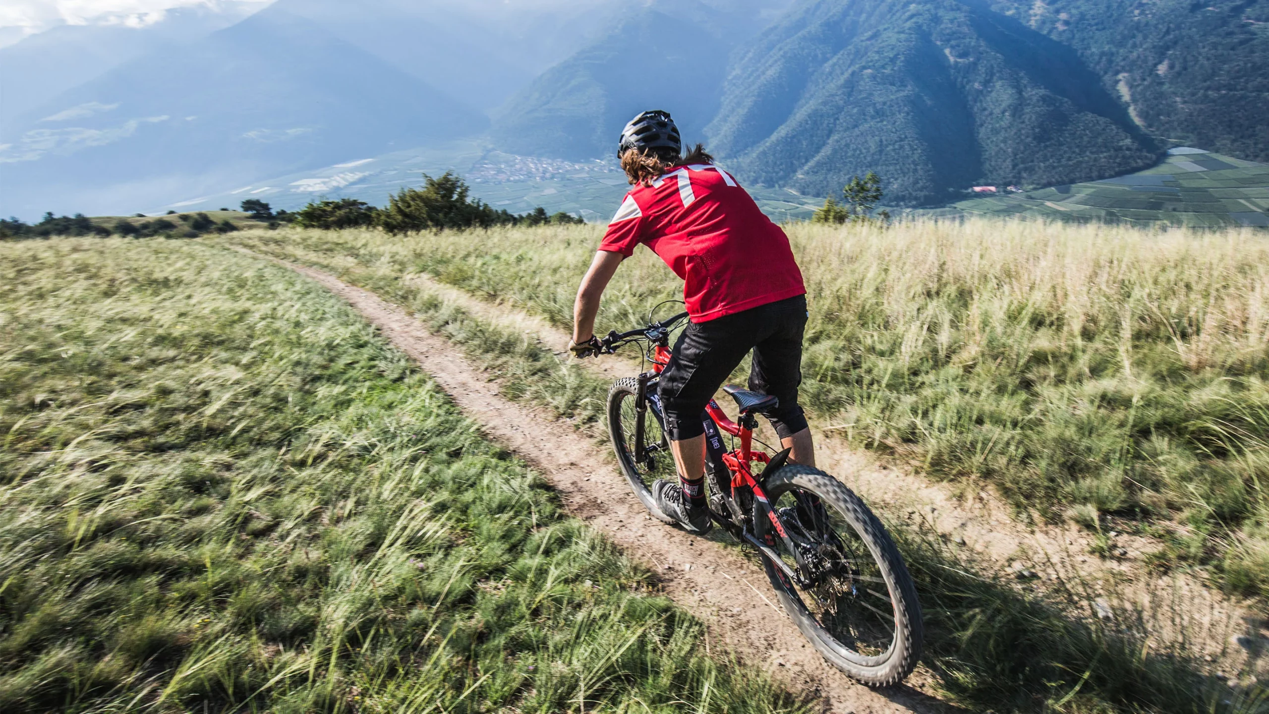 Bremsen Elegant store 1 Bremsen Elegant store -Bremsen Elegant store brand collection haibike scaled