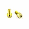 Tuning Bikes Titan Schrauben - Torx Konischer Kopf - Gold