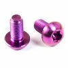 Tuning Bikes Titan Schrauben - Torx Linsenkopf - Violett