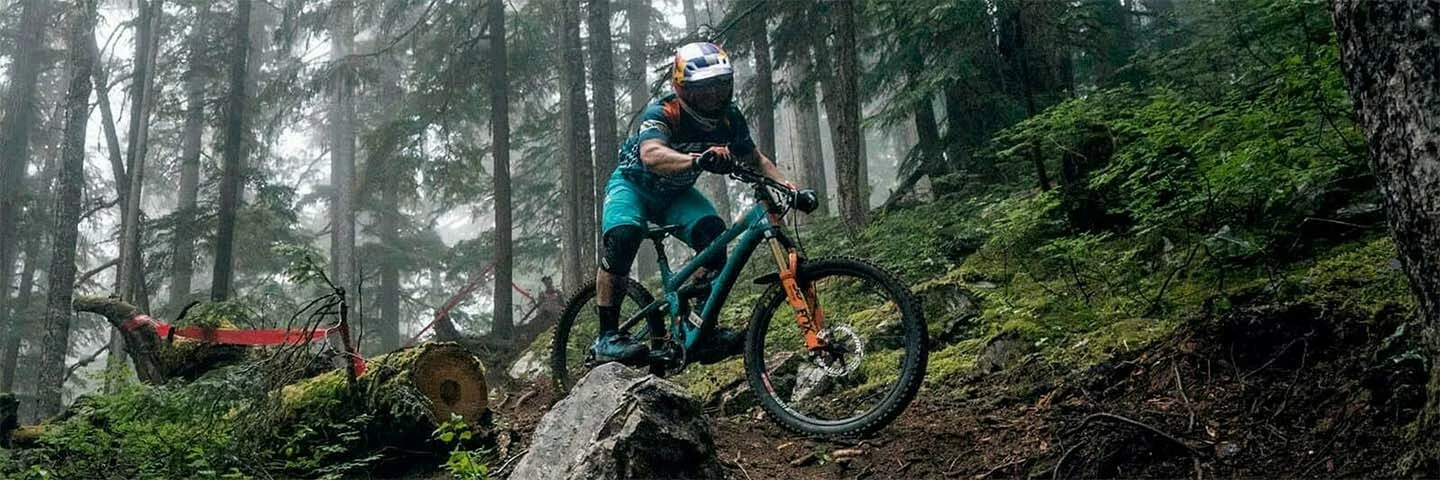 Bremsen Elegant store 16 Bremsen Elegant store -Bremsen Elegant store yeti cat banner 42057.original